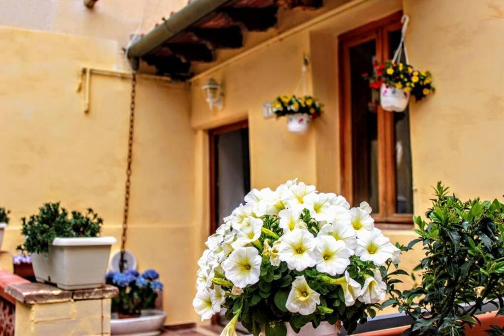 Вилла Panoramic And Beautiful House 4Km From The Sea. Розиньяно-Мариттимо Экстерьер фото